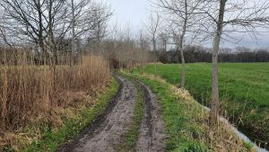 Trage Tocht Liempde - Wandelen Langs De Mooie Dommel - AMBULARE