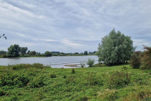 Knopenrondje Wageningse Bovenpolder bij de Nederrijn