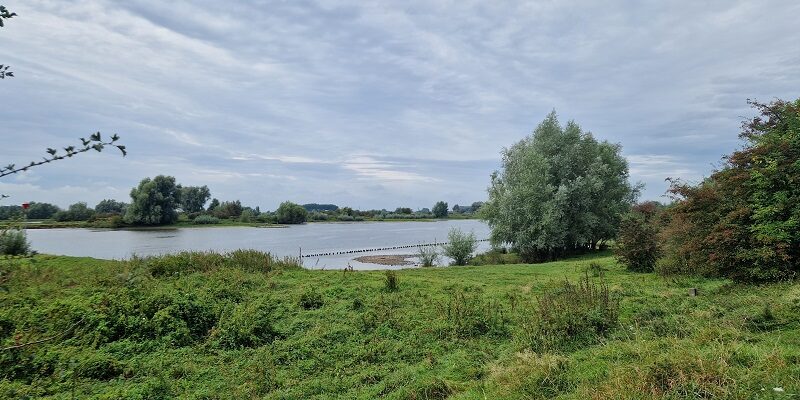 Knopenrondje Wageningse Bovenpolder bij de Nederrijn