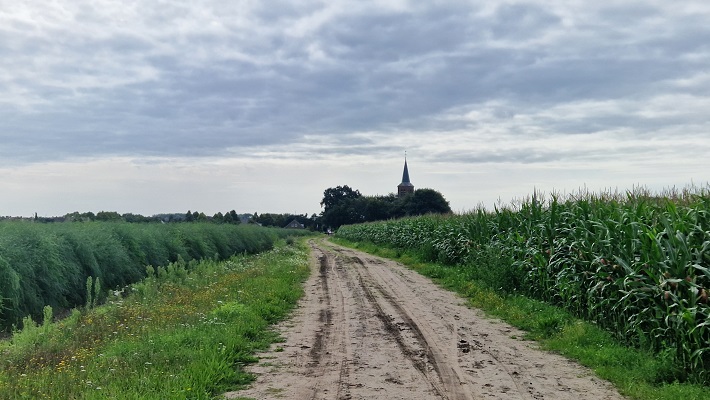 Oude Torenpad Wandelen buiten de binnenstad van Helmond