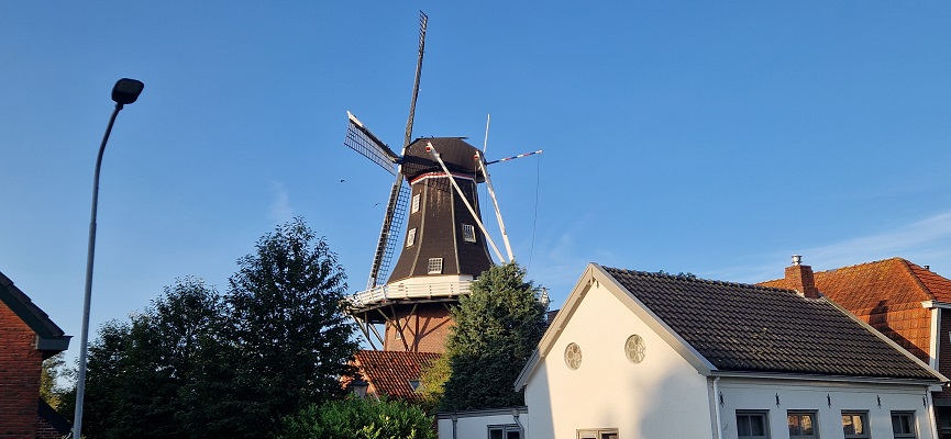 Wandeling over Roots Natuurpad van Appingedam naar Kolham bij molen Enterprise in Kolham