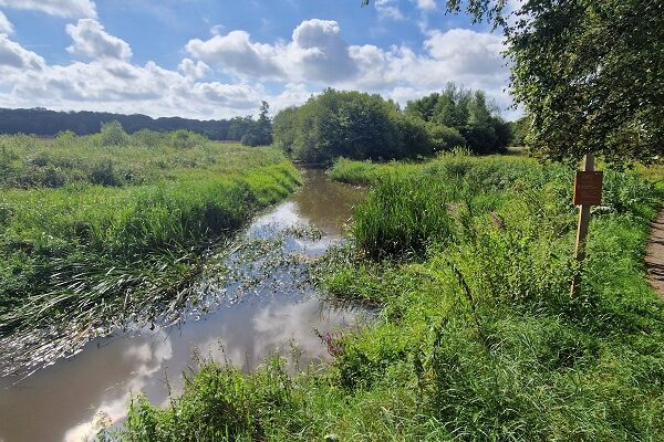 Wandeling over Trage Tocht Assen bij het Deurze Diep