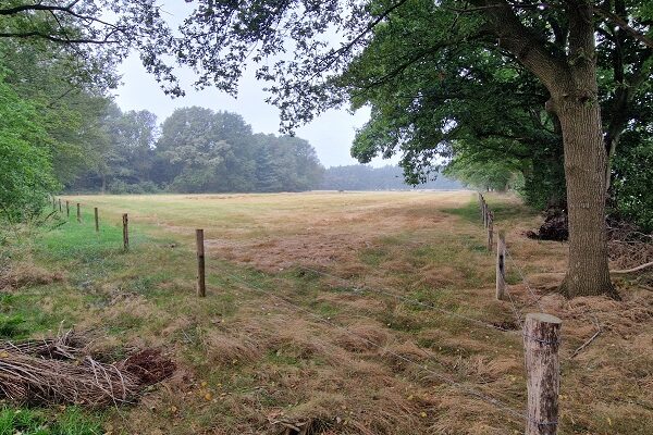 Wandeling over Groene Wissel Bakel