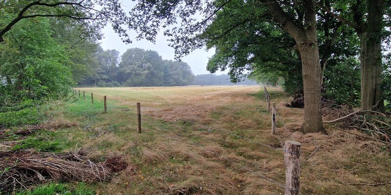 Wandeling over Groene Wissel Bakel