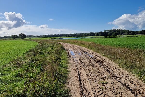 Wandeling over het Roots Natuurpad van Zuidlaren naar Onnen bij de Onner Esch