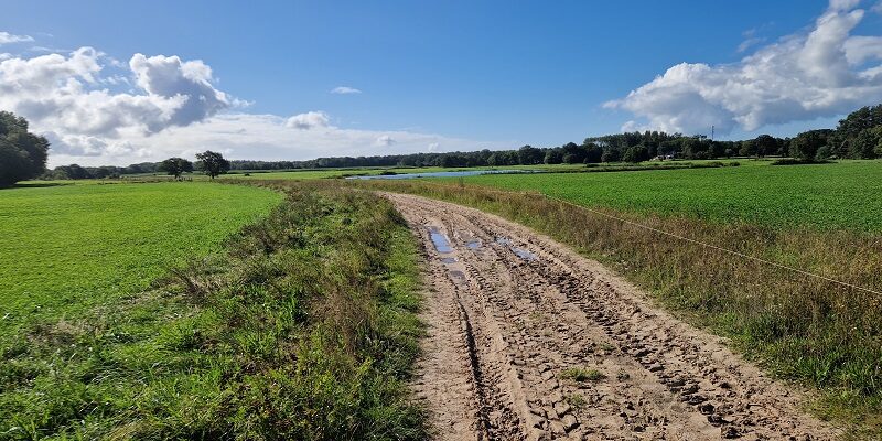 Wandeling over het Roots Natuurpad van Zuidlaren naar Onnen bij de Onner Esch