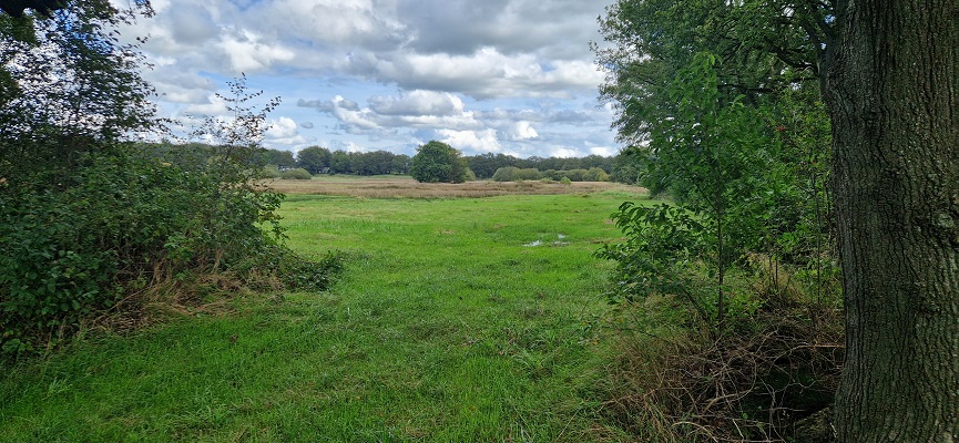 Wandeling over Trage Tocht Zeegse bij de presentatie van de wandelgids Wandelen langs de Drentse Aa