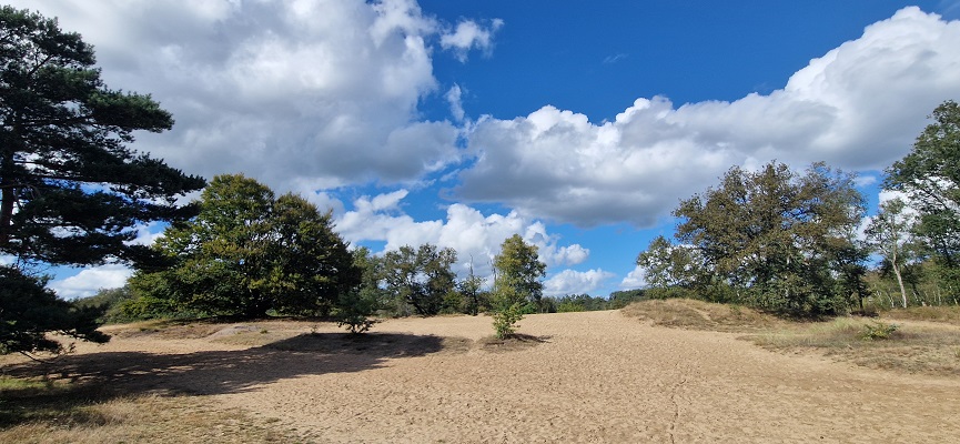 Wandeling over Trage Tocht Zeegse bij de presentatie van de wandelgids Wandelen langs de Drentse Aa