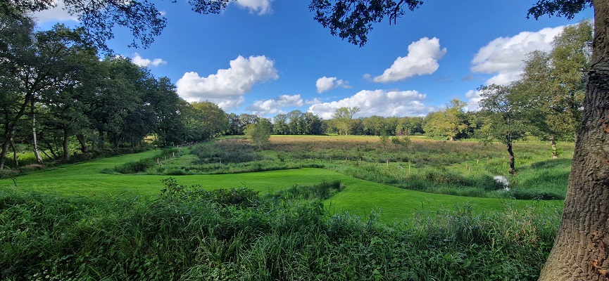 Wandeling over Trage Tocht Zeegse bij de presentatie van de wandelgids Wandelen langs de Drentse Aa