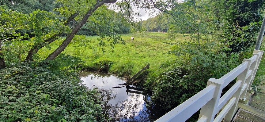 Wandeling over Trage Tocht Zeegse bij de presentatie van de wandelgids Wandelen langs de Drentse Aa