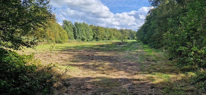 Wandeling over Trage Tocht Zeegse bij de presentatie van de wandelgids Wandelen langs de Drentse Aa