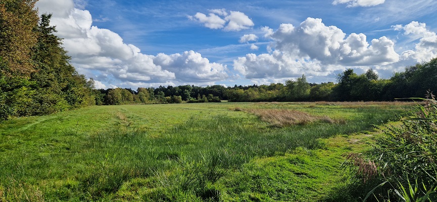 Wandeling over Trage Tocht Zeegse bij de presentatie van de wandelgids Wandelen langs de Drentse Aa