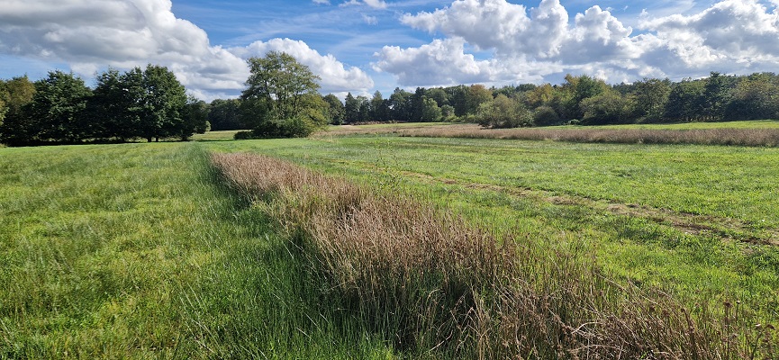 Wandeling over Trage Tocht Zeegse bij de presentatie van de wandelgids Wandelen langs de Drentse Aa