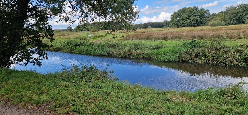 Wandeling over Trage Tocht Zeegse bij de presentatie van de wandelgids Wandelen langs de Drentse Aa