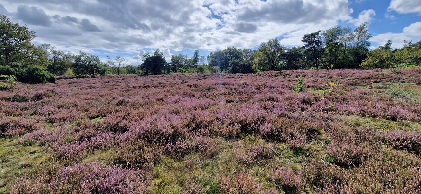 Wandeling over Trage Tocht Zeegse bij de presentatie van de wandelgids Wandelen langs de Drentse Aa