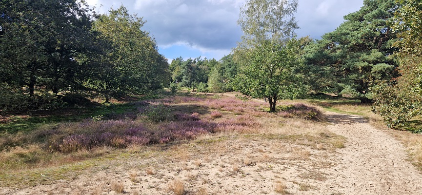 Wandeling over Trage Tocht Zeegse bij de presentatie van de wandelgids Wandelen langs de Drentse Aa