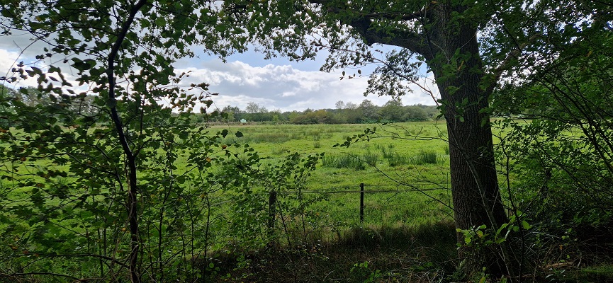 Wandeling over Trage Tocht Zeegse bij de presentatie van de wandelgids Wandelen langs de Drentse Aa