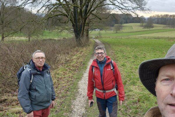 Wandeling over Traagste Tocht van Rheden naar Arnhem bij Park Klarenbeek