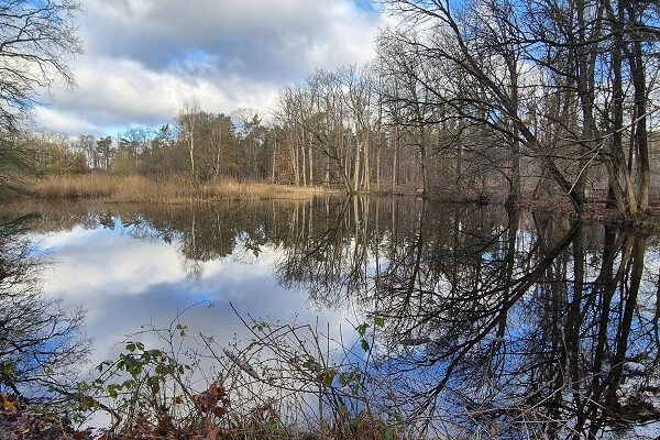 Wandeling over Klompenpad Schaarsbergenpad bij de Vijverberg