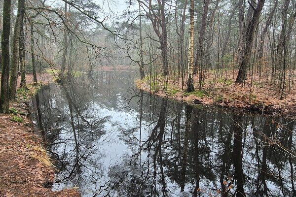 Wandeling over Trage Tocht Driebergen-Rijsenburg bij de sprengenbeek